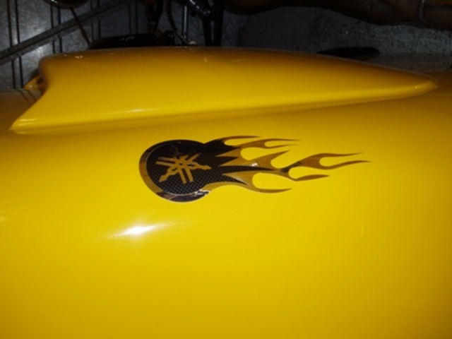 Rescued attachment bonnet decals.JPG